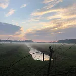Delftse Hout *