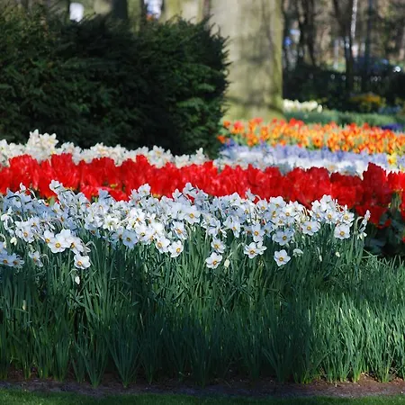 ホリデーパーク Delftse Hout デルフト