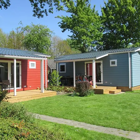 Delftse Hout デルフト