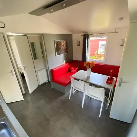 Delftse Hout デルフト