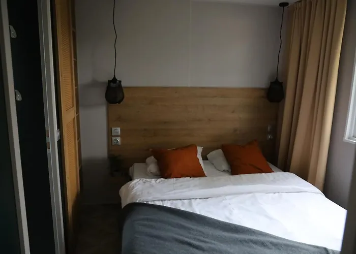 代尔夫特豪特假日公园 *