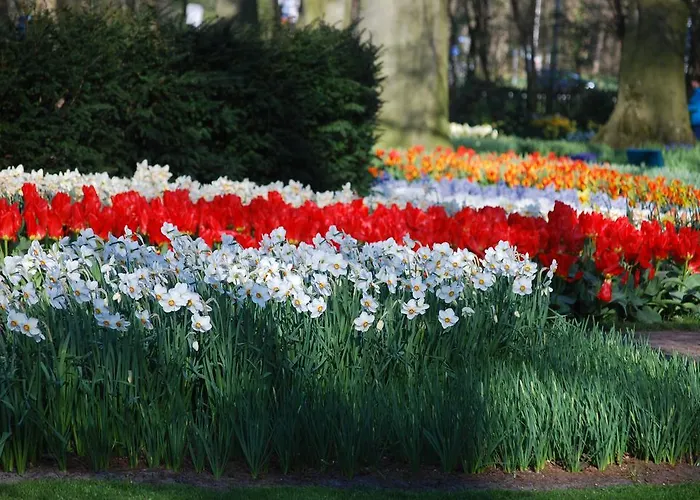 Vakantiepark Delftse Hout Delft