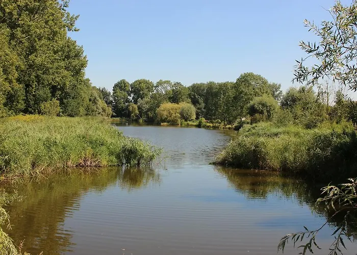 Vakantiepark Delftse Hout *