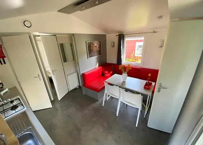 Delftse Hout Делфт