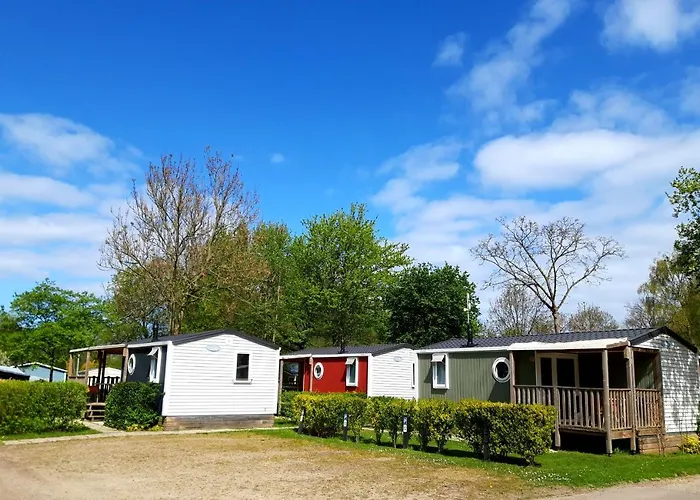 代尔夫特豪特假日公园 *