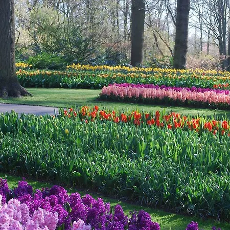 Parque de vacaciones Delftse Hout *