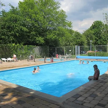 Delftse Hout デルフト