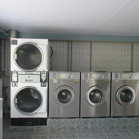 Delftse Hout