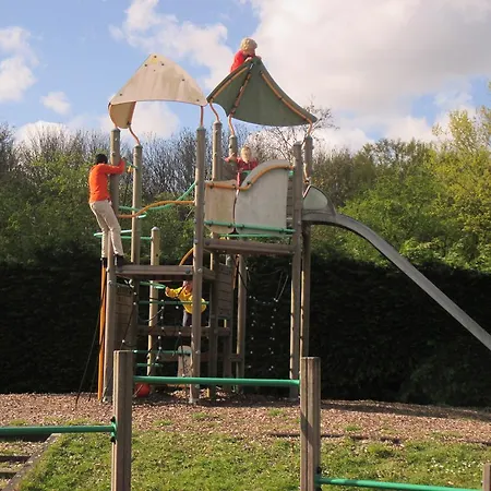 Delftse Hout デルフト