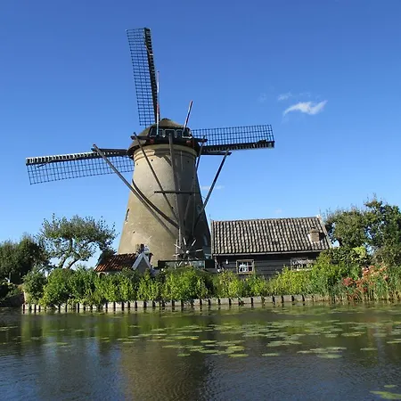 Delftse Hout