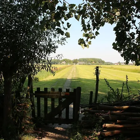 ホリデーパーク Delftse Hout *