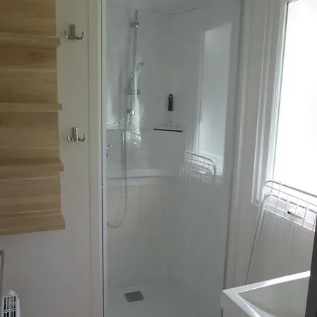 Delftse Hout デルフト