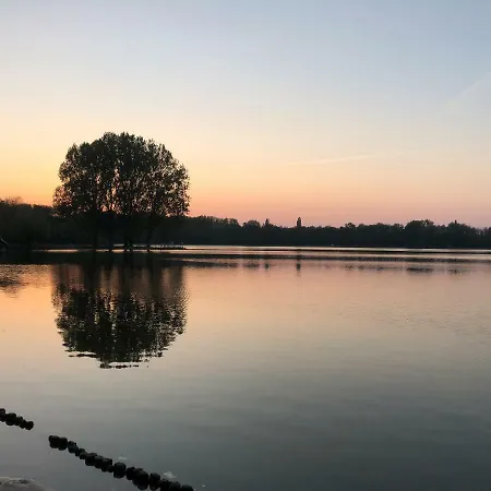 Delftse Hout