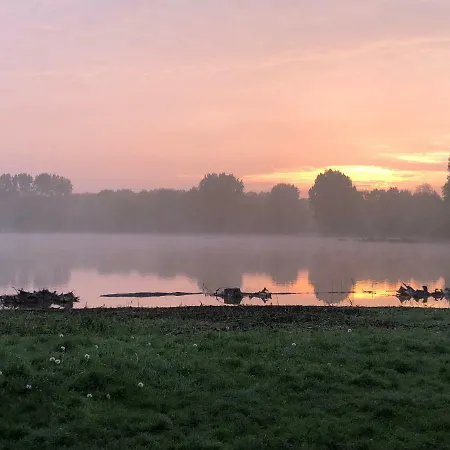 Delftse Hout *