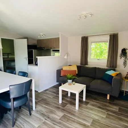 ホリデーパーク Delftse Hout *