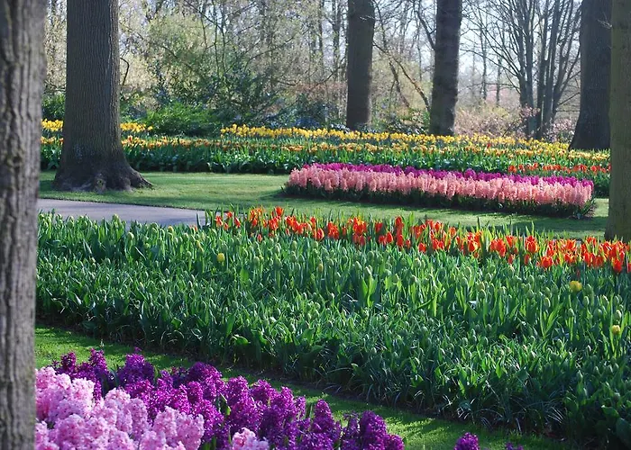 Üdülőpark Delftse Hout *