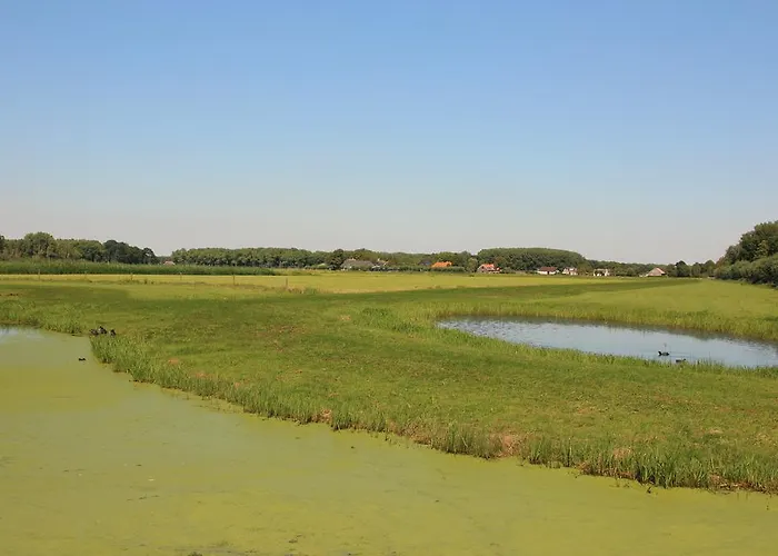 Üdülőpark Delftse Hout Delft